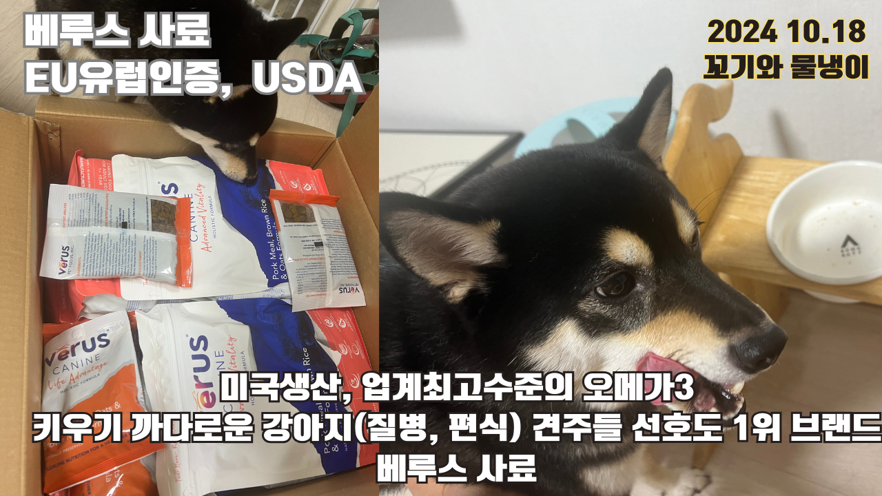 미국생산, 업계최고수준의 오메가3; 키우기 까다로운 강아지(질병, 편식) 견주들의 선호도 1위 브랜드 베루스 사료